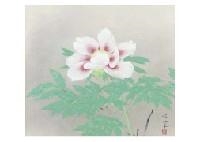 Peony by Keika Kanashima