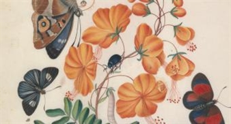 Of Green Leaf, Bird, and Flower: Artists’ Books and the Natural World - Yale Center for British Art