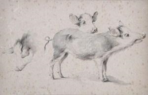 Study of piglets - J. B. Güct