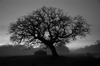 Barnaby Hosking: Habitat - SE8 Gallery