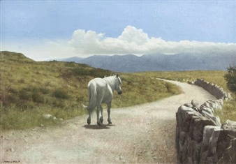 The Long Road Home - Patrick Hennessy