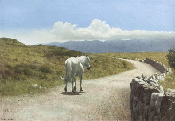 The Long Road Home by Patrick Hennessy