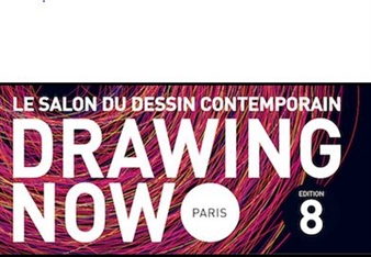 Drawing Now Paris 2014 - Salon du Dessin