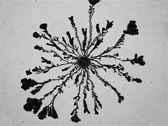 Brian Fridge: Sequences - Horton Gallery, Lower East Side