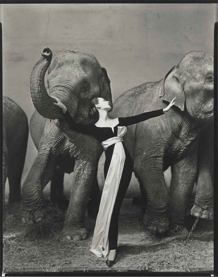 Dovima with Elephants, Evening Dress by Dior, Cirque d'Hiver, Paris, August 1955 by Richard Avedon, 1955, 1977