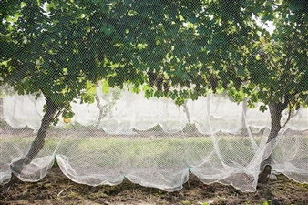 John Woodin: Un-Natural Landscape - Crane Arts Center