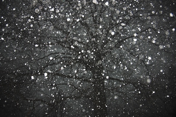 View Find - Bond Millen Gallery