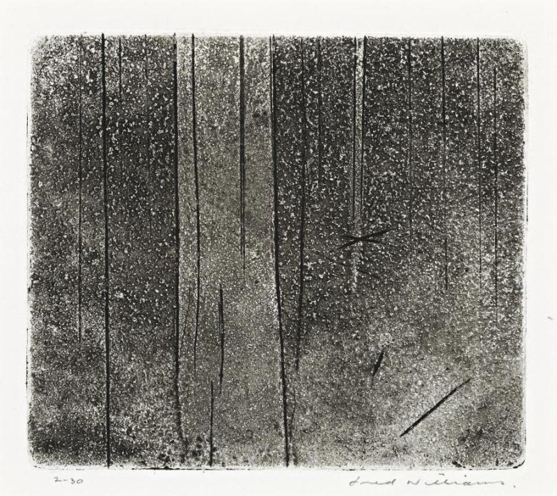 Artwork by Fred Williams, FOREST, Made of etching, aquatint and engraving