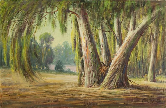 Eucalyptus trees