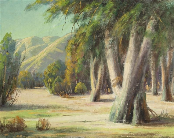 Eucalyptus landscape