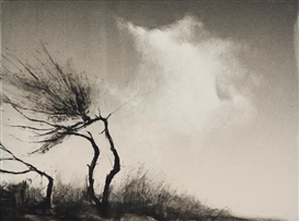 Changes at Davidson Galleries
