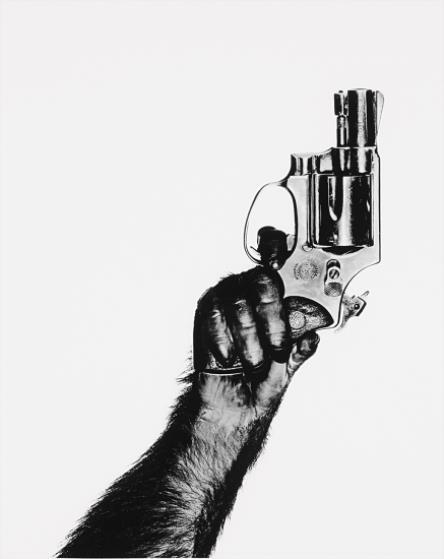 Monkey with Gun by Albert Watson, 1992