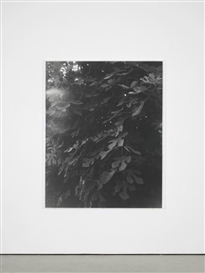 Becky Beasley “The Walk… in green” at Laura Bartlett Gallery, London by mousse