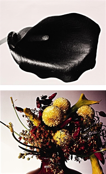 Nobuyoshi Araki | 6X7 HANGEKI SERIES (2007) | MutualArt