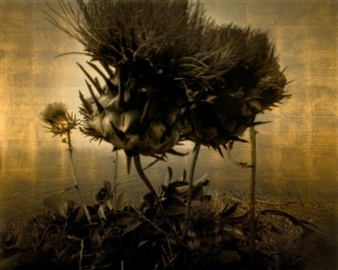 Taku Aramasa: Horizon - Annely Juda Fine Art