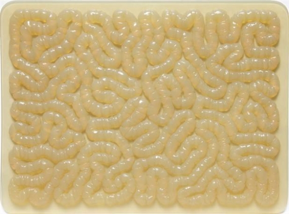 Rubber Mat by Mona Hatoum, 1996