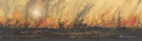 Bosbrand by Michael La Guerenne