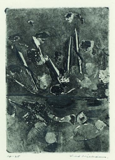 Knoll in the You Yangs