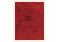 Untitled No.8 by Anish Kapoor, 1988