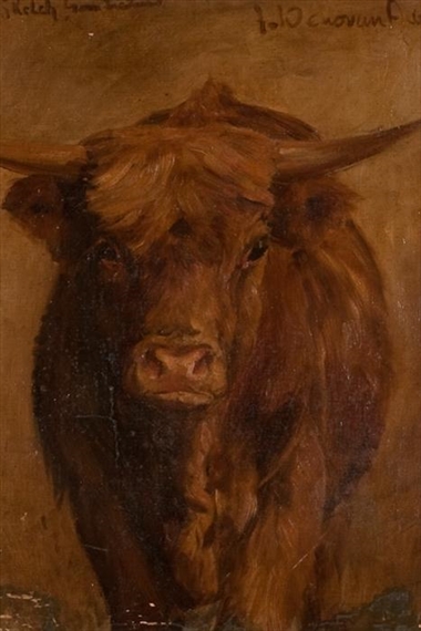 A HIGHLAND COW by Joseph Denovan Adam
