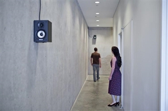 Audible Interruptions - CAM, Contemporary Art Museum St. Louis