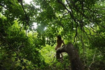 Group Exhibition: New Works by New Artists  - Bernarducci Meisel Gallery