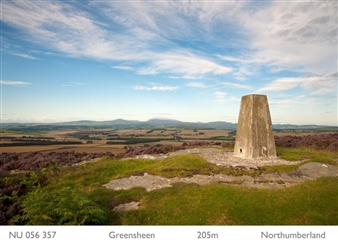 McCoy Wynne: Triangulation - AOP