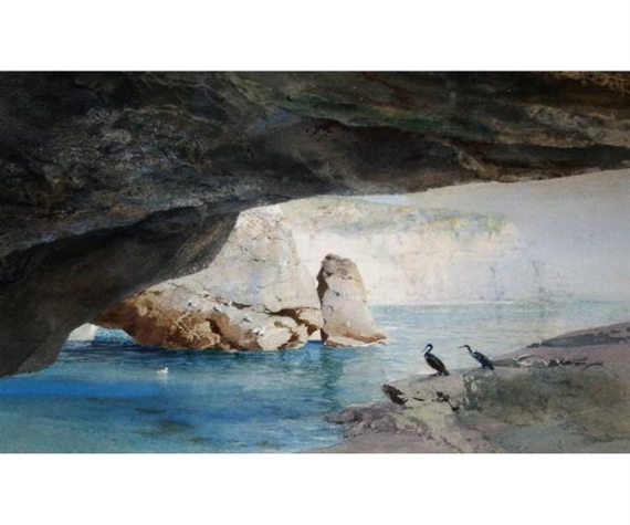 Cormorants on a Coast by B.J.M. Donne, 1995