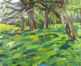 Landscape - Finn Have