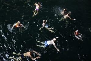 Francine Fleischer: Swim - Tanto Tempo