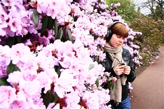 Susurrus - The Contemporary Austin