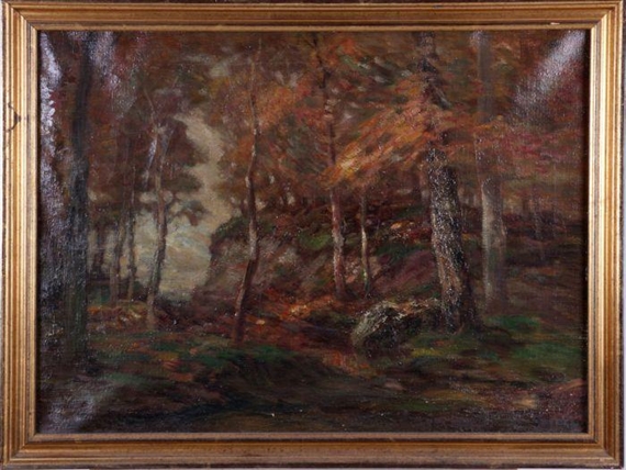 Autumn Forest Scene by John Semon