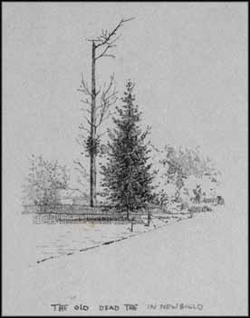 A Collection of Ten Drawings