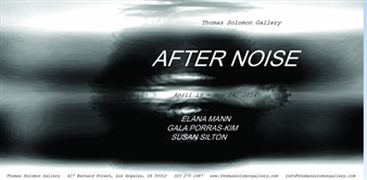 After Noise - Thomas Solomon Gallery
