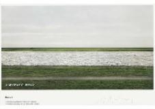 Rhine III(Poster) by Andreas Gursky