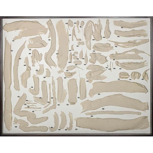 Artwork by Roxy Paine, Specimens, Made of Polymer, pins, mahogany and Plexiglas