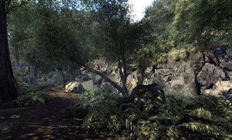 Mark Tribe - Corcoran Gallery of Art