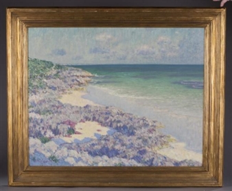 Coral Reef Bermuda - Will Howe Foote