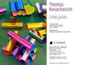 Thomas Kovachevich: Lime Juice - Le Studiolo Galerie de France