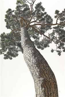 An Auspicious Pine 2 - Choi Yeong-Geol