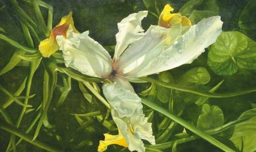 Artwork by Elisabeth Kruger, Iris, Made of oil on linen