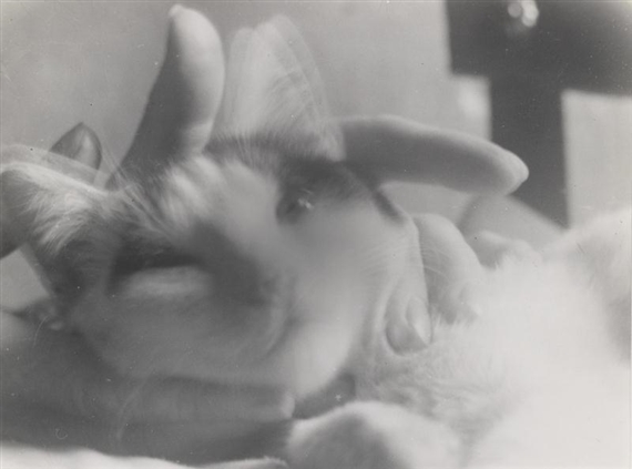 Cat by Raoul Hausmann, circa 1950