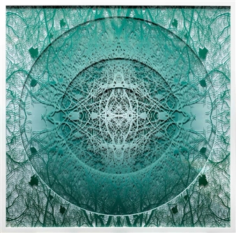 Caroline Jane Harris: Anatomy of the Arboreal - Scream London