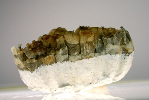 it/ness - Brooklyn Art Space, Trestle Gallery