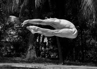 Spiros Poros: Love and Strife = Cosmic Cycle - Gow Langsford Gallery, Auckland City