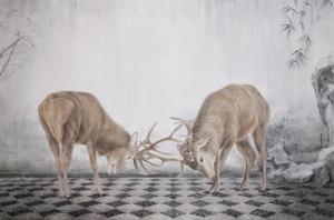 DEER by Qin Ai, 2011