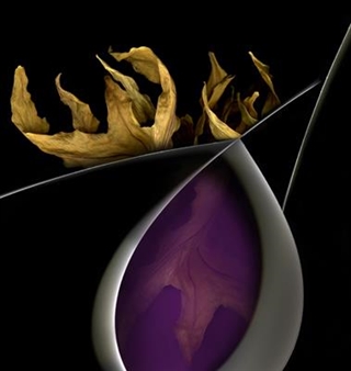 Kim Kauffman: New Work from the Florilegium and Confluence Series - Galerie BMG