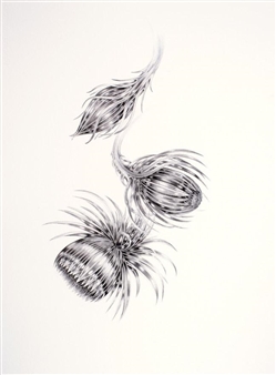 Tané Andrews: The Collector - Venn Gallery