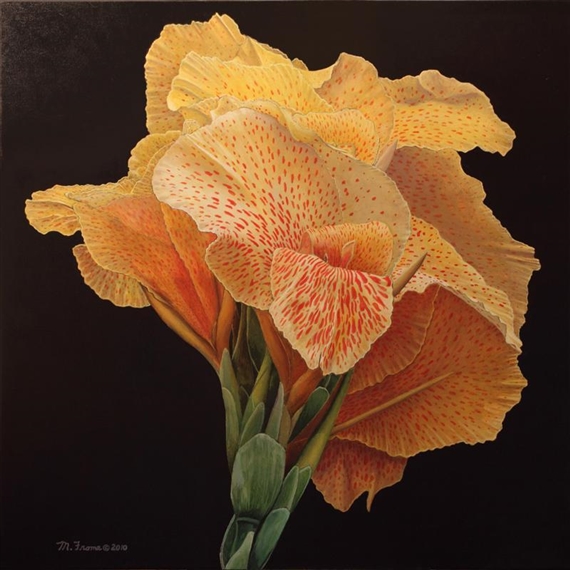 Gold Spotted by Mickey Frome, 2010