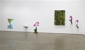 Pennacchio Argentato @ Wilkinson Gallery